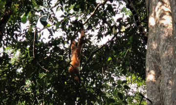 Cat Tien National Park Tour