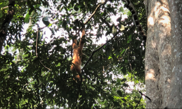 cat tien national park tour