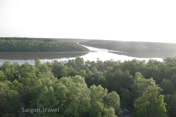 bike tour to can gio mangrove forest