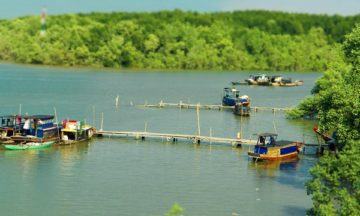 Can Gio Mangrove Forest Monkey Island Day Trip from Phu My Port