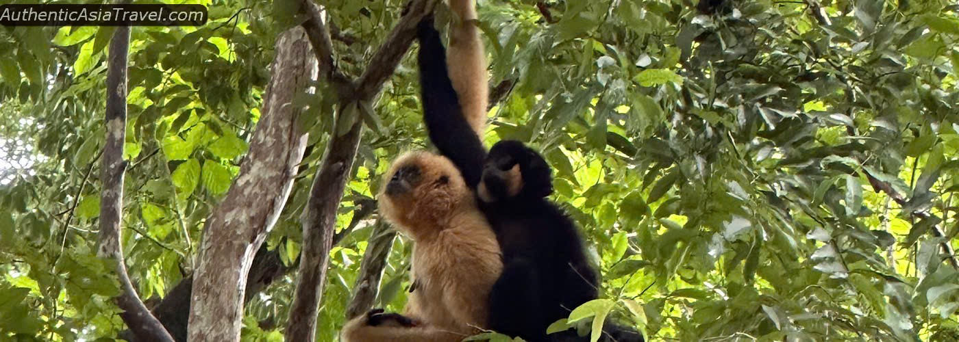 Vietnam Wildlife Tours